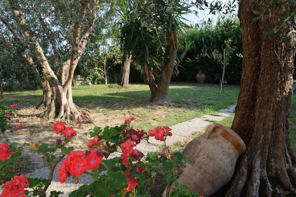 La Convenienza Bed & Breakfast Uliveto Terme Exterior foto