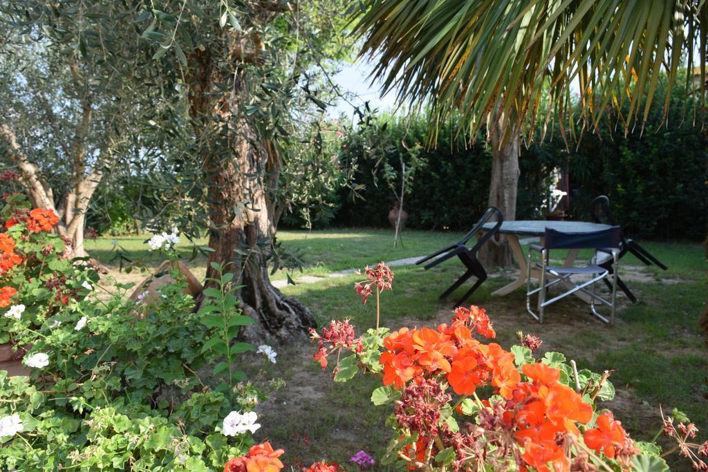 La Convenienza Bed & Breakfast Uliveto Terme Exterior foto