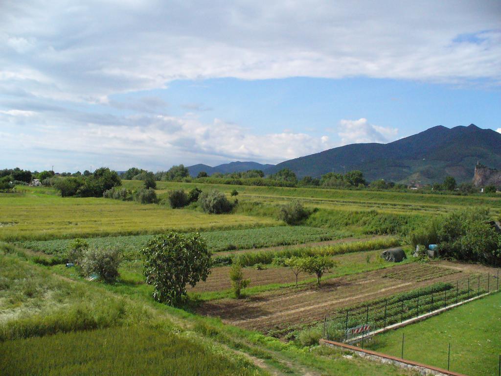 La Convenienza Bed & Breakfast Uliveto Terme Exterior foto